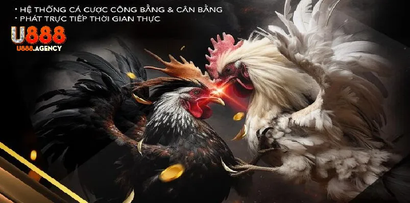 U888 – Nền Tảng Cá Cược Trực Tuyến Đẳng Cấp Quốc Tế